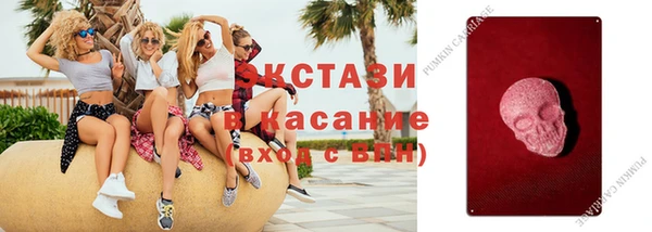 эйфоретик Богданович