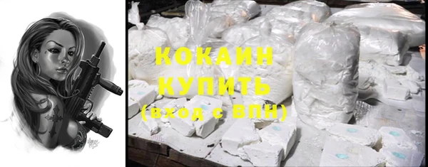эйфоретик Богданович