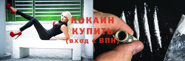 сатива Богородицк