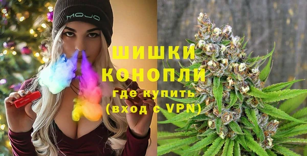 эйфоретик Богданович
