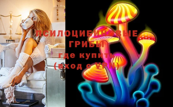 сатива Богородицк