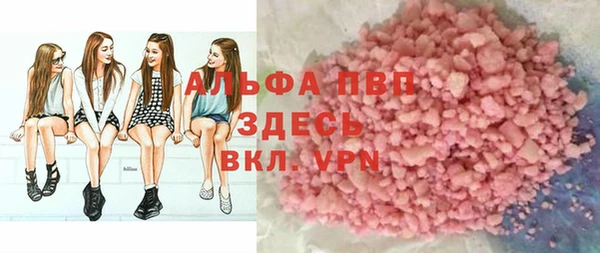эйфоретик Богданович