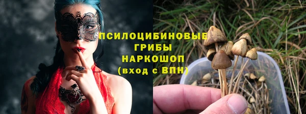 сатива Богородицк
