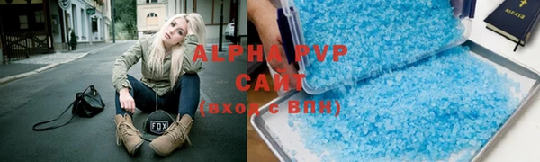 эйфоретик Богданович