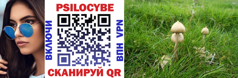 Галлюциногенные грибы мухоморы  Чудово 