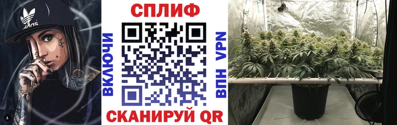 Конопля SATIVA & INDICA  магазин продажи   Чудово 